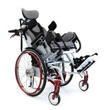 Rollstuhl DynamisTSD 295980 titansilber matt 01